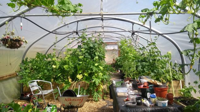 Albany Gardening Club