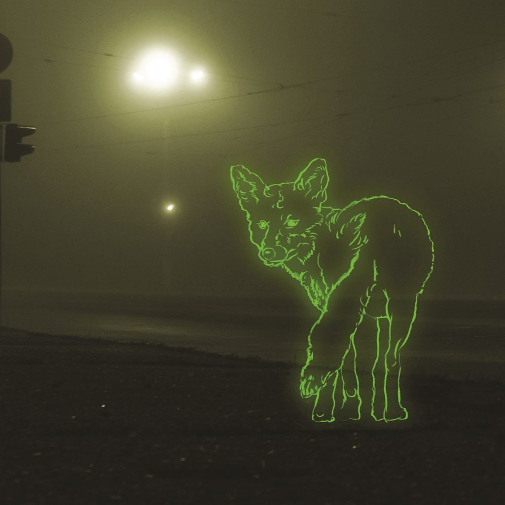 A dark, foggy street with a fox drawn in neon green, looking back over it's shoulder towards the camera, in the foreground.