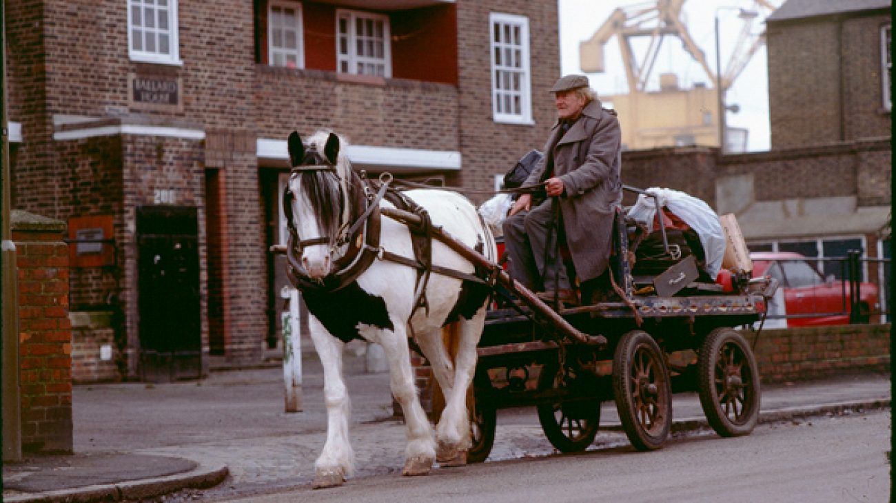 Old man totting with pie bald horse and loaded cart outside Ballard House, Norway Street. 