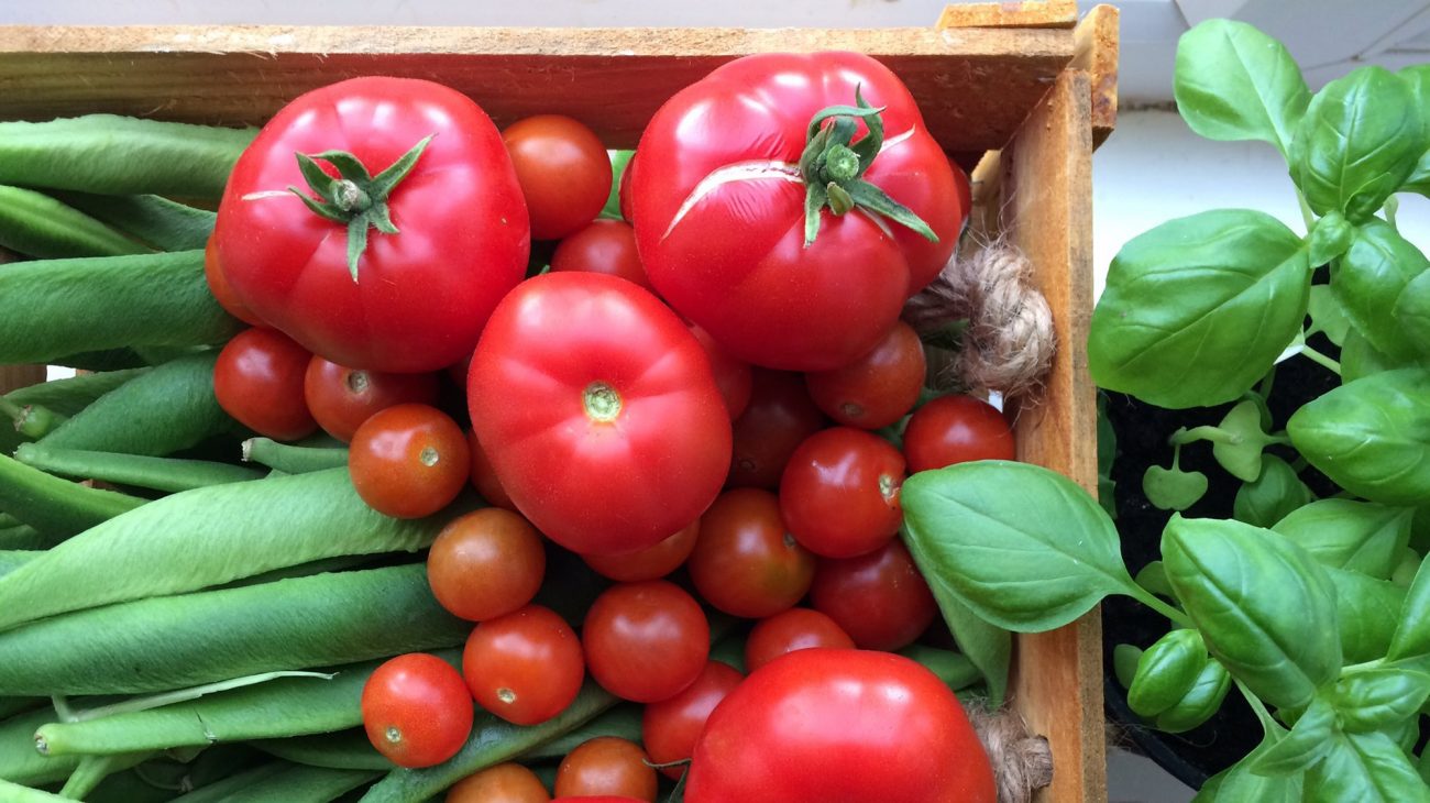 Produce from the Albany garden.