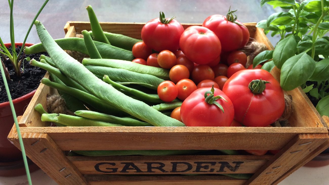 Produce from the Albany garden on sale in Caff A.