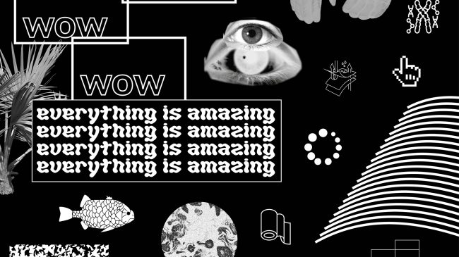 WOW EVERYTHING IS AMAZING &#8211; Young People&#8217;s Performance