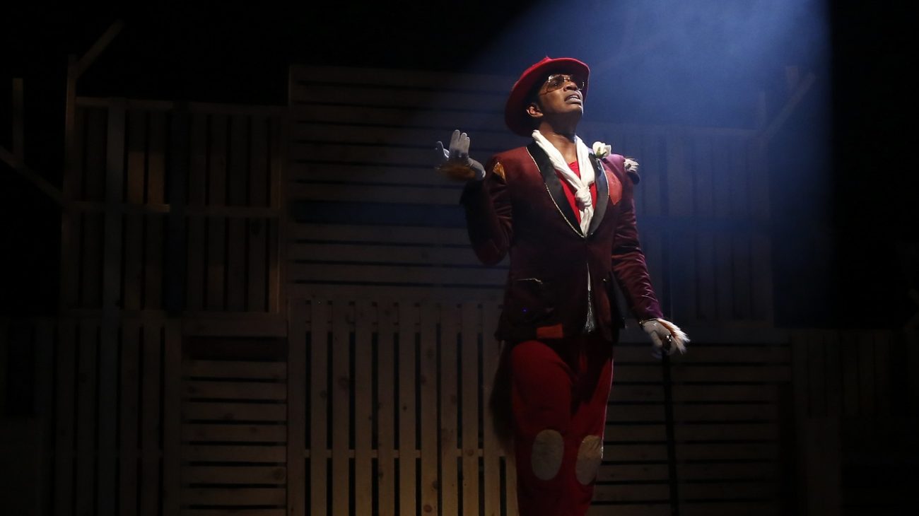 Photo by Luke MacGregor. Production image from Humbug the Hedgehog.