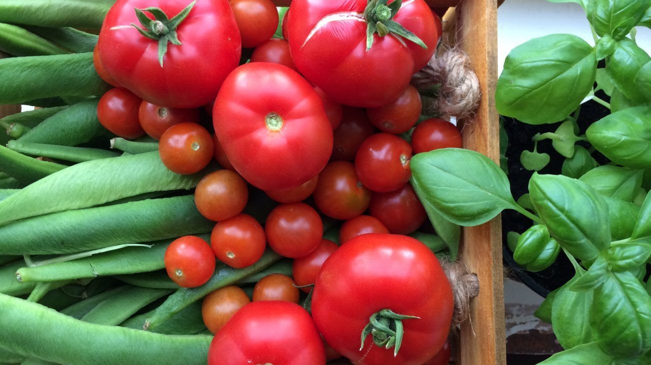 Grow Your Own&#8230; Tomatoes