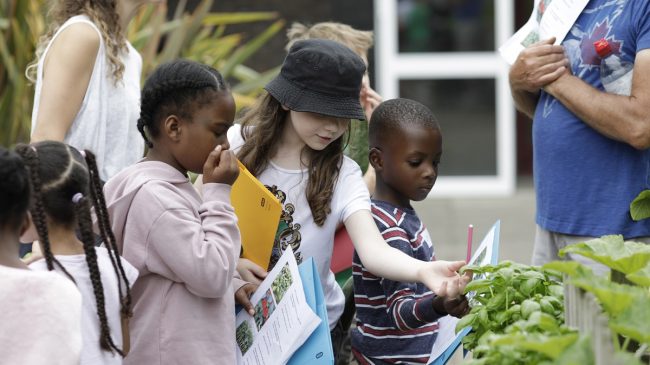 The Albany Easter Holiday Arts Club 2022