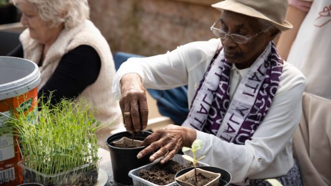 Come ’n’ Grow @ Meet Me